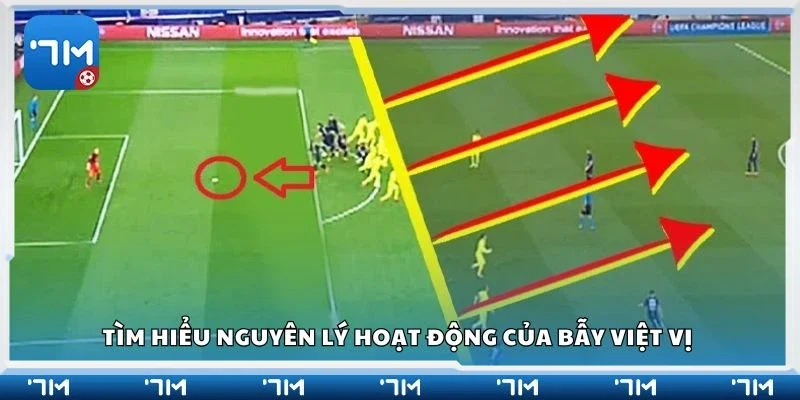 Tìm hiểu nguyên lý hoạt động của bẫy việt vị