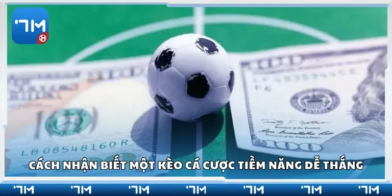 Cách nhận biết một kèo cá cược tiềm năng dễ thắng