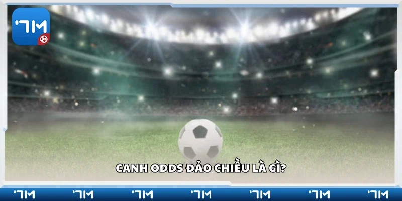 Canh odds đảo chiều là gì?