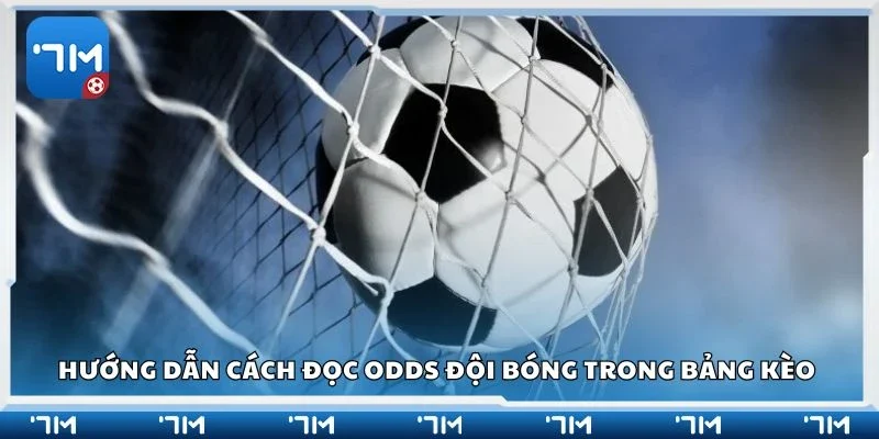 Hướng dẫn cách đọc odds đội bóng trong bảng kèo