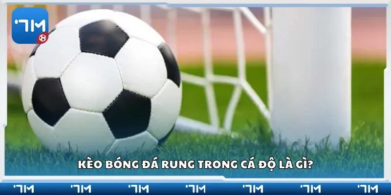 Kèo bóng đá rung trong cá độ là gì?