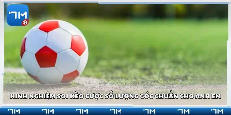Kinh nghiệm soi kèo cược số lượng góc chuẩn cho anh em