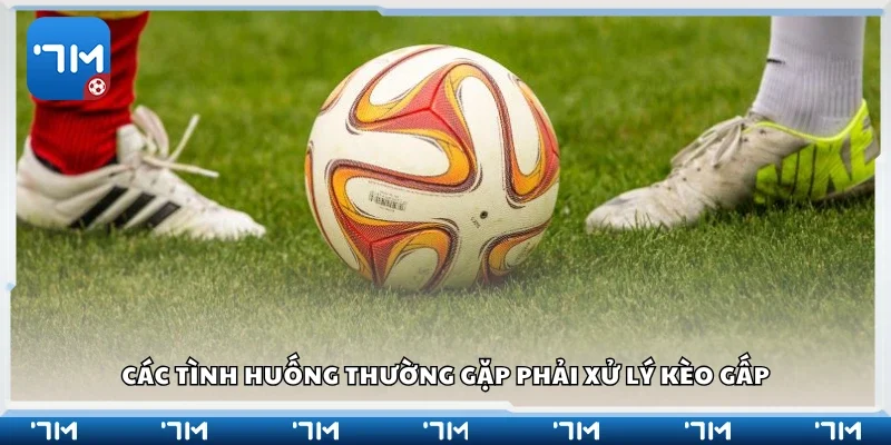 Một số tình huống thường gặp phải xử lý kèo gấp