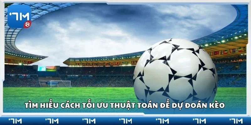 Tìm hiểu cách tối ưu thuật toán để dự đoán kèo