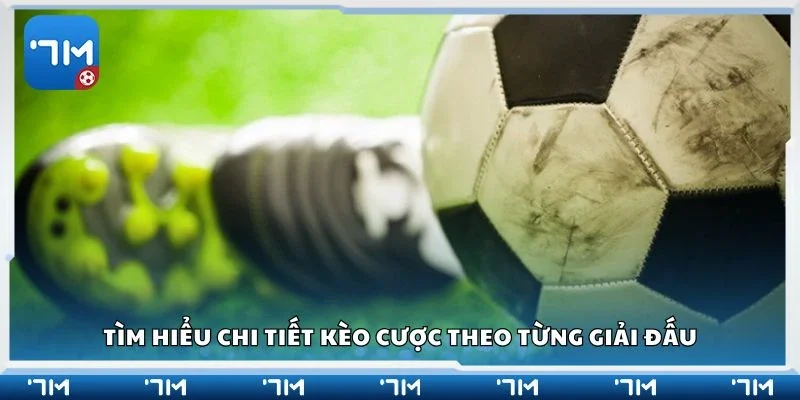 Tìm hiểu chi tiết kèo cược theo từng giải đấu