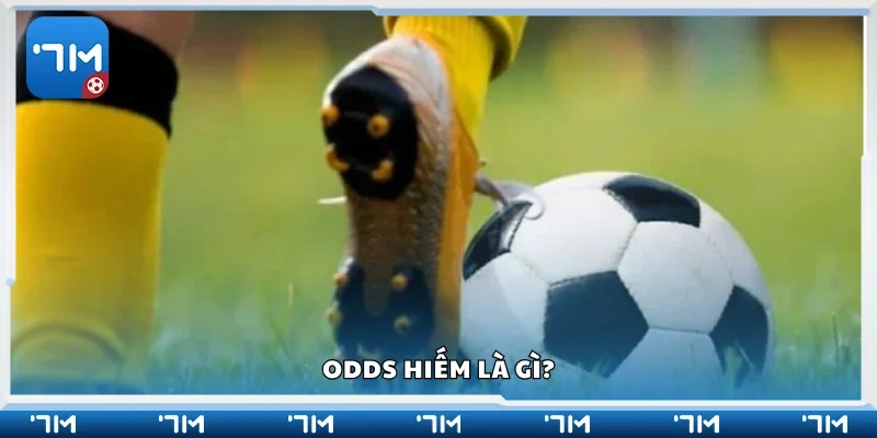 Tìm hiểu khái niệm Odds hiếm