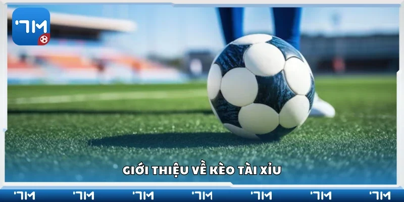 Tổng quan về kèo tài xỉu