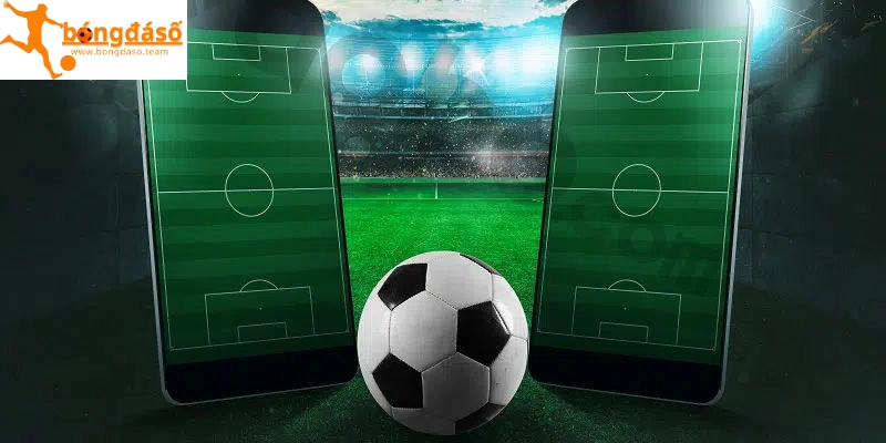 Cập nhật tỷ lệ đầu đủ các giải đấu lớn nhỏ